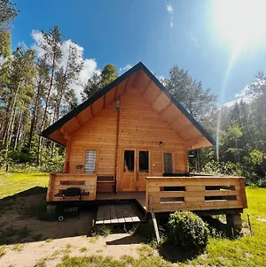 Domek W Lesie Na Mazurach Vila Orzyny Exterior photo