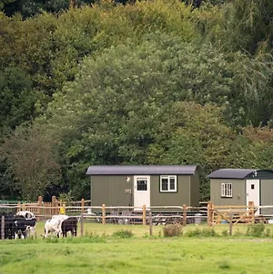 'Tansy' & 'Ethel' Shepherds' Huts In Rural Sussex Arundel Exterior photo