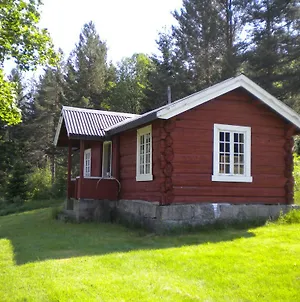 Telemark Inn - Hytte Hauggrend Exterior photo