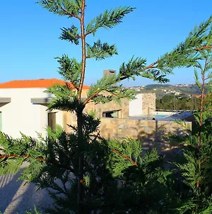 Alluring Villa In Salir De Matos With Private Pool Garden And Coast Nearby Exterior photo