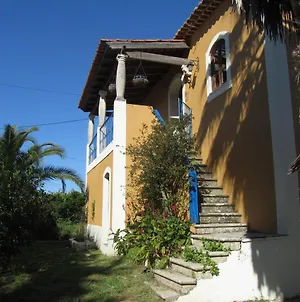 Casa Amarela Apartamento Sao Pedro de Tomar Exterior photo